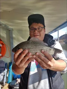 17.11.20 송전지 서울집 조황