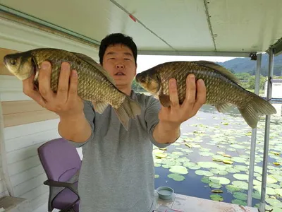 아산 명품 월랑낚시터 6월 세번째 조황이야기입니다...^^