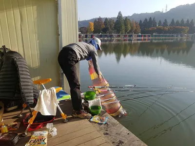 10  월  28  일  경기도 안성 거청낚시터 붕어조황