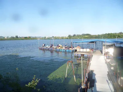 오월 삼주차 오목낚시터 좋아요조황!!!