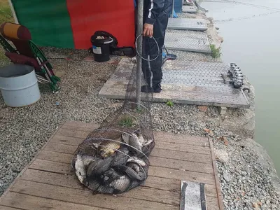 경기도 안성 거청낚시터 붕어조황  9 얼  09