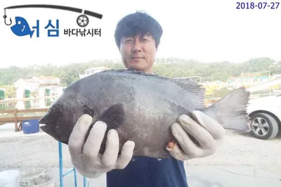 7월27일 어심바다낚시터조황