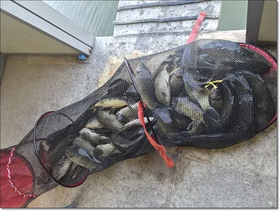 2026년 개장안내 및 조황소식