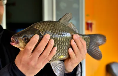 송전지서/울/좌/대 / 4월14일조황