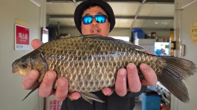 양촌좌대 손맛보러 오세요!!