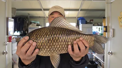 고삼지 주말 사짜조황입니다.