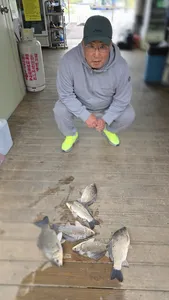 고삼지 양촌좌대!! 조황입니다.