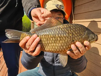 "" 해 뜨자마자 터졌다... 사짜 연타 적중!""