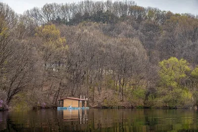 안성 두메낚시터 4월 9일 조황정보