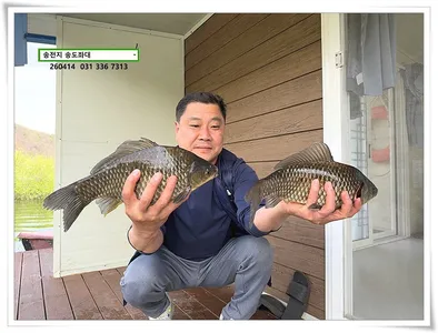 마릿수, 송전지 송도좌대 조황.