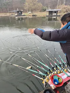 겨우내  대량방류