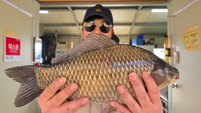 고삼 양촌좌대 3월 첫째주 사짜조황