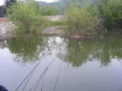 ▼자갈섬조황▼