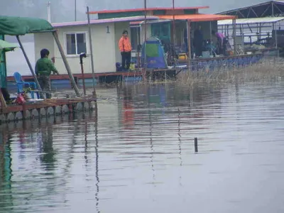 자갈섬조황입니다