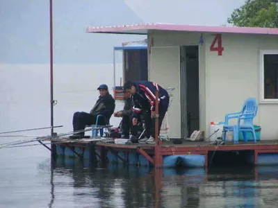 자갈섬주말조황