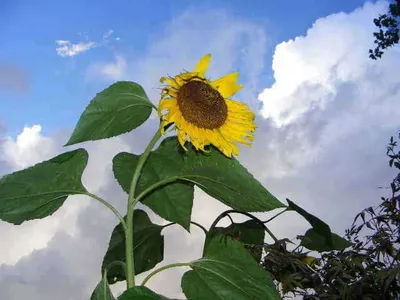 자갈섬낚시터전경