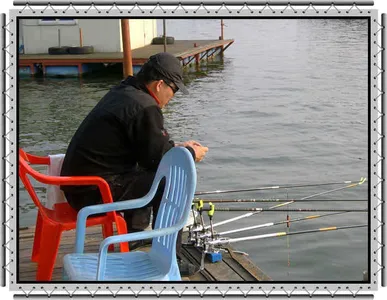 자갈섬혹부리~★