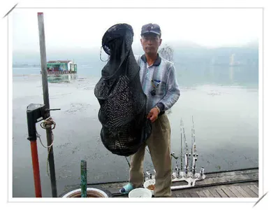 자갈섬마릿수조황입니다