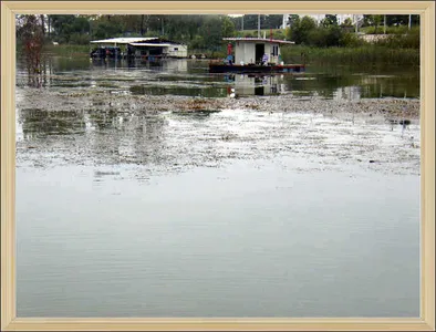 자갈섬낚시터조황