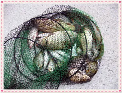 이어지는자갈섬조황~!