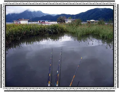 의암호자갈섬조황