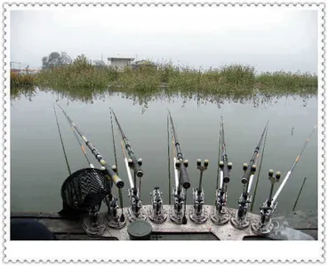 자갈섬조황입니다