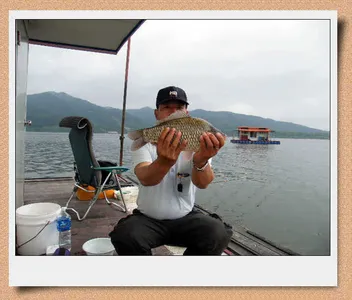 ★의암호자갈섬혹부리붕어★