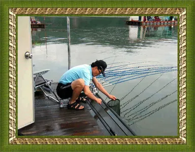 자갈섬월척붕어~