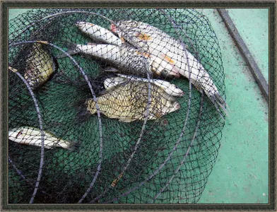 자갈섬월척입니다