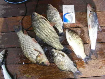 자갈섬조황과에어컨설치