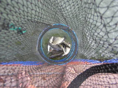 ★★★★★춘천의암호자갈섬낚시터★★★★★