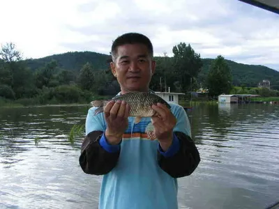 자갈섬호조황입니다