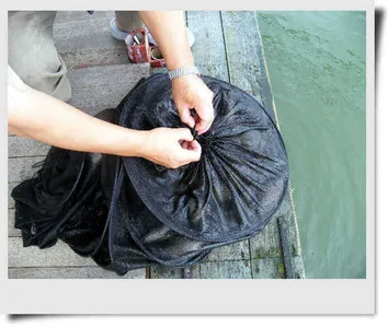 자갈섬대박조황입니다