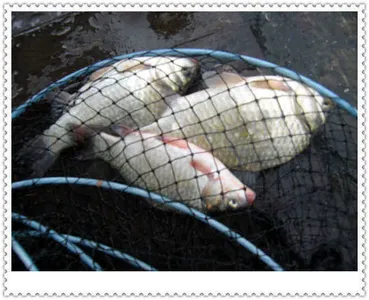 자갈섬주말조황입니다