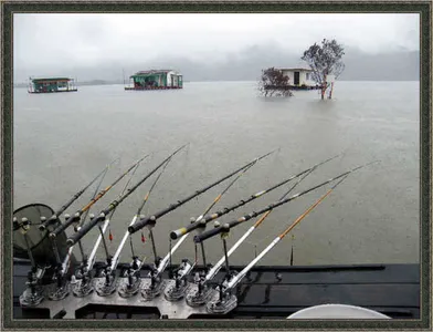 자갈섬이어지는조황입니다