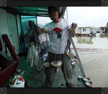 자갈섬낚시터조황입니다