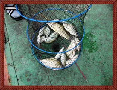 자갈섬월척입니다~!!