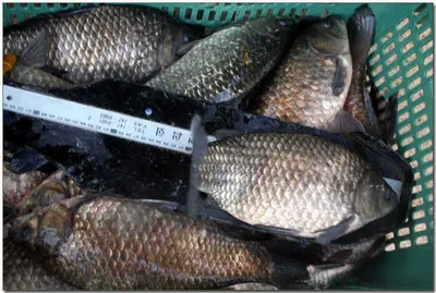 [각평] 겨울준비...끝...