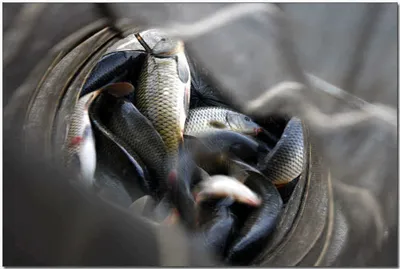 [각평] 소리없이 강하다...^^