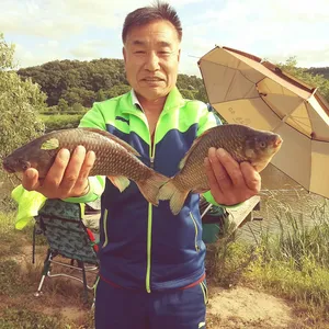 충주탄금호낚시조황 