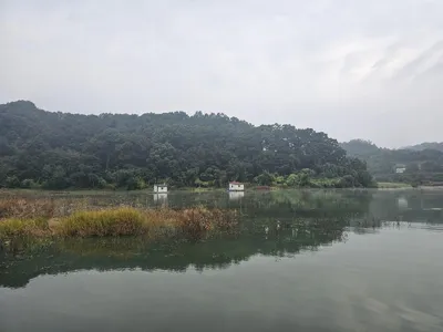 제일대물붕어.키다리낚시터월척 마리수 