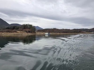 충주호제일낚시 주말4짜 