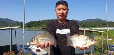 충주탄금호낚시조황