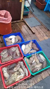  제주에이스호!!(11일)갑돌이조황입니다~문의 01035483472~01038603472