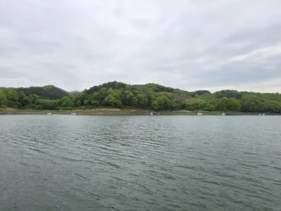 제일허리급월척 