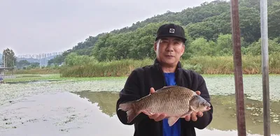 충주탄금호낚시 조황