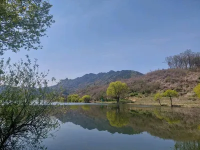 매전지45.4짜 대물붕어.가볼만한 소류지