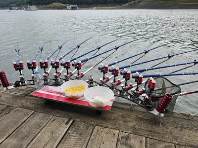 충주호 제일낚시월척.현재상황 