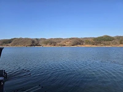 wpdlf43.41. 월척들 