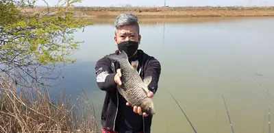 충주탄금호낚시 조황 